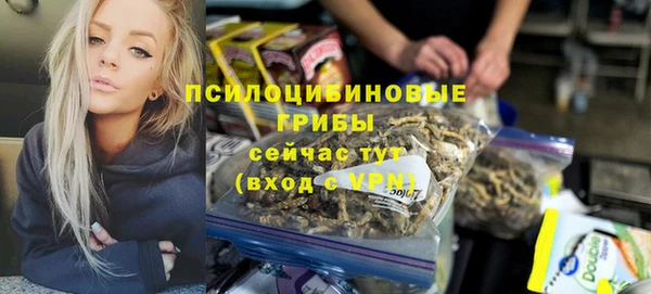 круглые Абаза