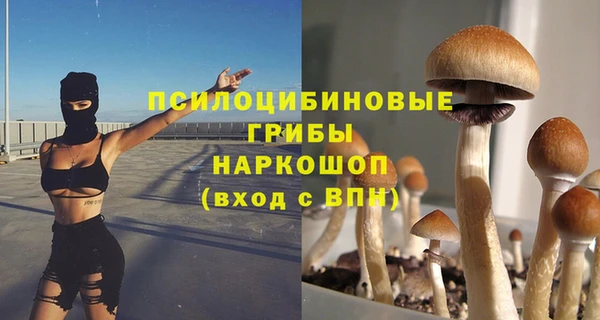 стафф Алексеевка
