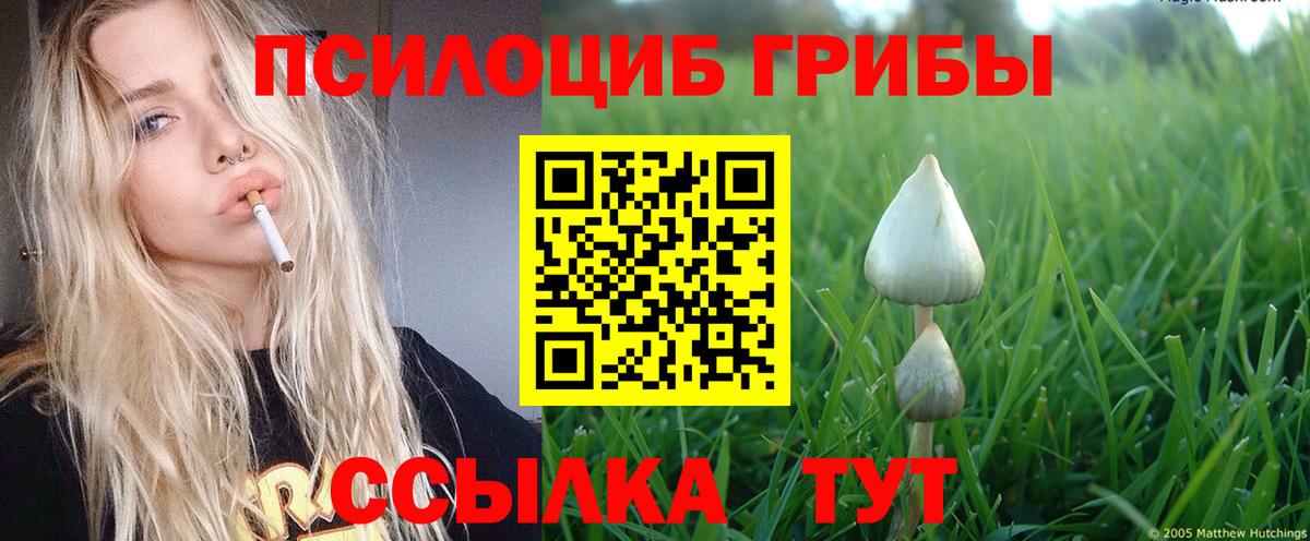 Ухта  Галлюциногенные грибы ЛСД  Вход с VPN  Псилоцибиновые грибы Psilocybe 
